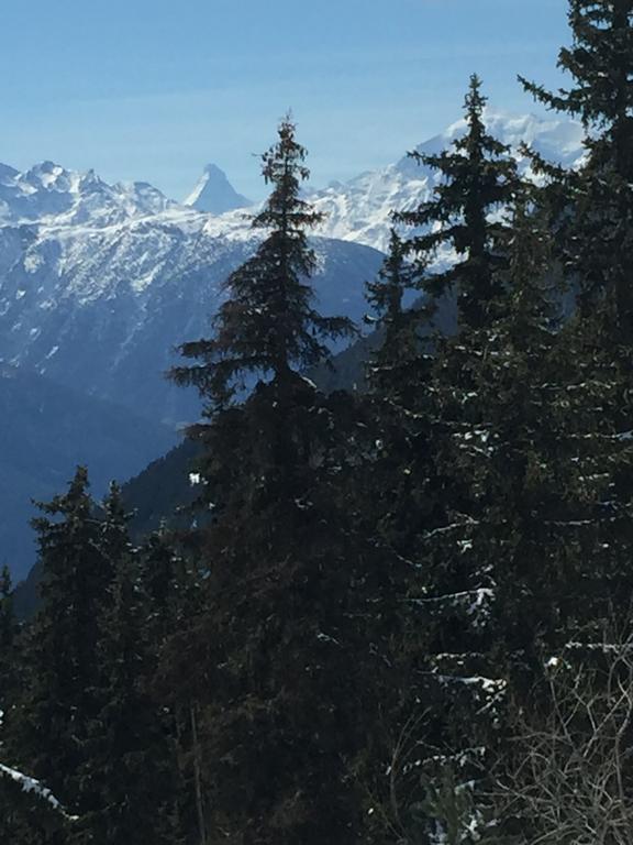 Apartamento Haus Brunnen Riederalp Exterior foto